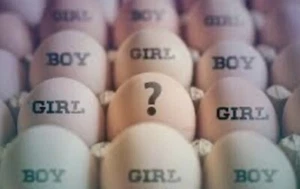 Gender Testing, Magnetic Tester for ALL Birds Hatching Eggs, Humans And Reptiles - Picture 1 of 9