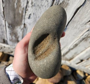 Rare Ohio Black Swamp Omarolluk OMAR Stone Rock Fossil 2.8 lbs Lapidary Raw - Picture 1 of 9