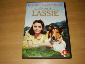 Lassie - Courage of Lassie (DVD) Elizabeth Taylor Frank Morgan Tom Drake - Picture 1 of 2