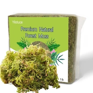 1 lb Natural Orchid Moss for Potted Plants, Nice Soilless Potting Soil for Se... - Picture 1 of 5
