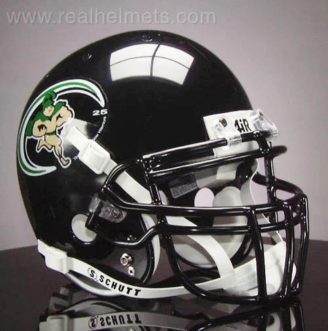 HAWAII WARRIORS NCAA Schutt XP Full Size REPLICA Gameday Football Helmet Cover