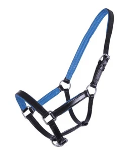 QHP Fohlen Lederhalfter Spirit Halfter Fohlen schwarz/blau - Bild 1 von 2