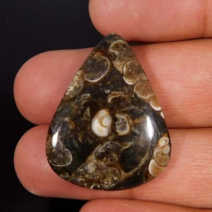 28,30 ct naturale splendida turritella fossile pera cabochon Reiki pietra preziosa curativa - Foto 1 di 3