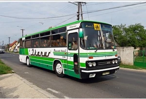 IKARUS 256.54 von Demprice/Classicbus Maßstab 1.43 - Bild 1 von 10