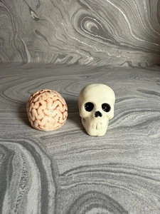 NEW - Halloween - Skull & Brain - Salt & Pepper Shakers - Halloween - Picture 1 of 5