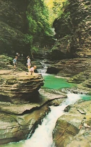 Kids at Watkins Glen of the Pools NY State Park Vintage Postcard - Picture 1 of 2