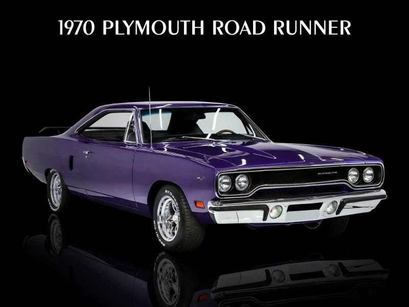 Plymouth Road Runner 1970 en Plumb Crazy letrero de metal nuevo: 12x16" y envío gratuito Foto 1 de 1