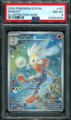 PSA 8 Raboot 147/142 Stellar Crown IR Illustration Rare Pokemon Card - Image 1 of 2