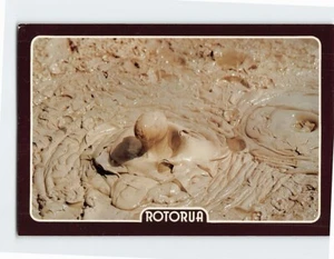 Postcard Boiling Mud Pool Rotorua - Picture 1 of 2