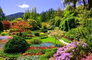 Fototapete - FRÜHLINGSGARTEN - (5854) - VLIES - Tapete - Blumen Blüten XXL - Bild 1 von 4