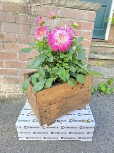 Wooden Garden Decking Planters Timber Wood Flower Box 35cmx24cmx23cm HANDMADENEW - Picture 1 of 5