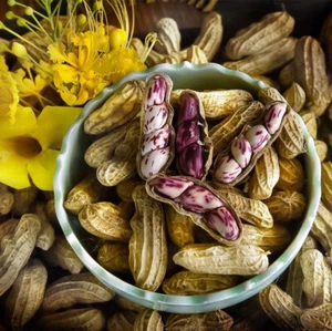 500g Tiger Stripe Peanut Tempeh ,Raw peanuts, freshly dried, can be used as seed - Picture 1 of 5