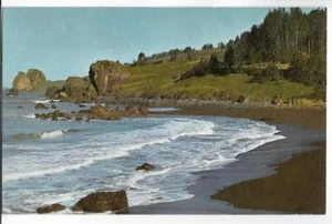 DEL NORTE COAST,CA-REDWOODS GROWING TO THE OCEAN'S EDGE - Picture 1 of 1