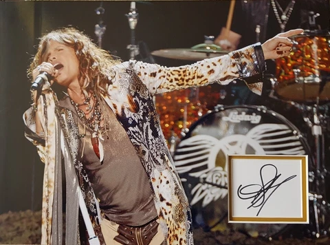 STEVEN TYLER Signed 40x29cm Photo Display AEROSMITH COA Cover