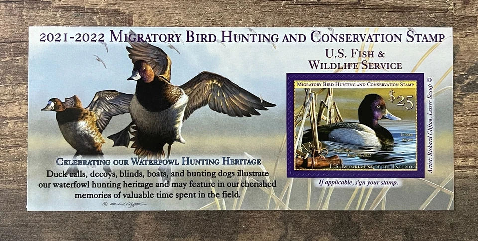 WTDstamps - #RW88A 2021 - 2022 - US Federal Duck Stamp - Post Office FRESH - Image 1 of 2