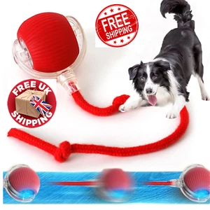 Smart Electric Rolling Pet Ball Toy | Rechargeable Interactive Dog Cat Trainer - Picture 1 of 7