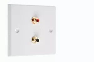 Audio Speaker Phono AV 0.2 Wall Face Plate - 2 RCA Posts - Imagen 1 de 25