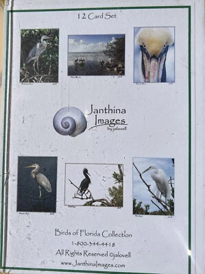 Lote de 12 tarjetas de felicitación artísticas aves de Florida vida silvestre naturaleza pelícano marrón NUEVO Foto 1 de 2