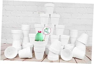 40 Pcs White Terracotta Pot - 2.5 Inch Mini Clay Pots with Drainage Holes - Picture 1 of 8