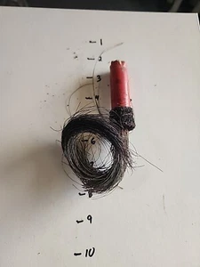 Barba de pavo real TB24 9" - Imagen 1 de 2