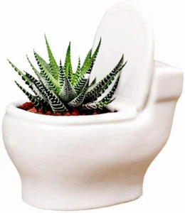 Ceramic White Toilet Plant Pot/Bonsai Pot/Flower 4.6", Planter - Picture 1 of 11