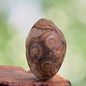 Weihnachtsgeschenk China Innere Mongolei Gobi grober Achat Präparat - Bild 1 von 3