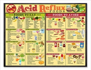 Acid Reflux Lebensmittel Tabelle Magnet 8,5x11 Diät Guide GERD Low Acid Sodbrennen Linderung - Bild 1 von 7