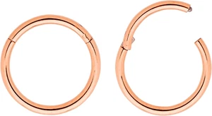 2PCS 16G Surgical Steel 6Mm - 16Mm Hinged Hoop Segment Lip Nose Ring Tragus Sept - Picture 1 of 12