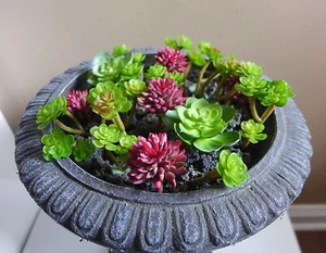 21 plantas en miniatura suculentas artificiales césped hogar jardín paisaje - Imagen 1 de 3