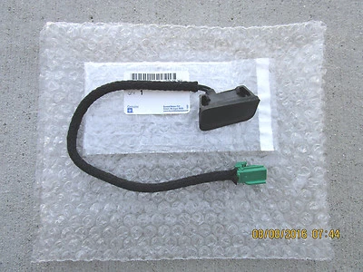 09 - 12 INTERRUPTOR ABRIDOR PUERTA MALETERO CHEVY TRAVERSE LS LT LTZ NUEVO 25897955 Foto 1 de 4