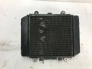 Radiator Dense Honda Shadow 600 Cod.1220007690 (LF302) - Picture 1 of 5