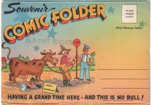 20 Comic Views, Tichnor Linen Folder Postcard, Art By Walt Munson And Faber - Picture 1 of 22