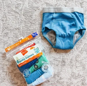 Hanes Toddler Boy Potty Trainer Boxer Brief Underwear, 6 Briefs Colors may vary - Picture 1 of 6