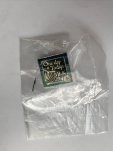 MARTIN LUTHER KING MLK 2009 One Day is Today Atlanta Braves Baseball Pin Lapel - Picture 1 of 3