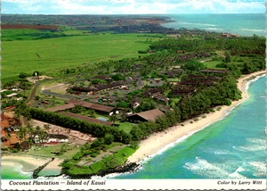 Aerial View Coconut Plantation Kawai HI POSTCARD - Picture 1 of 2