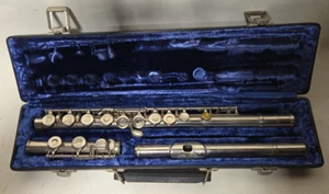 Vintage Schülerflöte (Astro 3492?) mit Koffer - Bild 1 von 6