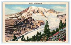 Vintage Rainier Nationalpark Postkarte Litho Gletscher & Wildblumen - Bild 1 von 2