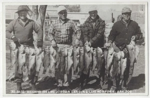 Jordan Landing, Norfork, Arkansas - ECHTFOTO Männer mit riesigem Barsch Angelfang - Bild 1 von 2