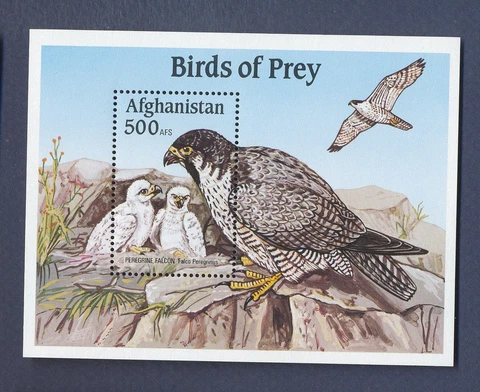 AFGHANISTAN - MNH S/S - Bird, Hawk - 2000 Cover