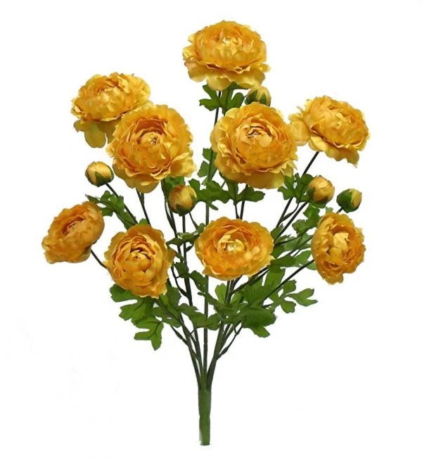 Ranunculus Bush 5 tallos 22 pulgadas amarillo Foto 1 de 1