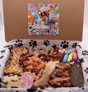 Dog Birthday Treat Gift Box With Selection Choc Treats, Meaty Snacks, Biscuits - Picture 1 of 16