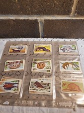 Vintage Robert And Miranda Strange Creatures Full Of Set 50 Tobacco Cards
