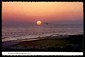 Cartolina Alba a Myrtle Beach, S.C. - Foto 1 di 2