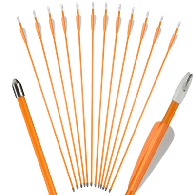 12x 27" Fiberglass Arrows up to 35lbs For Kid Practice Recurve Compound Bow Gift - Image 1 of 4