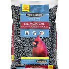 Pennington Select Black Oil Sunflower Seed Wild Bird Feed 10, 20 & 40 lb. Bag