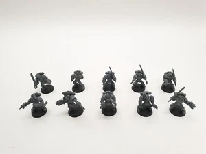 Warhammer 40k Space Wolves 10 melenas grises Blood Claws - Imagen 1 de 1