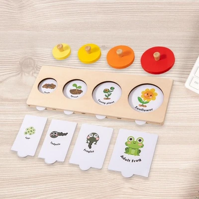 Puzzle Toy Life Cycle Educational Jigsaw Puzzle for Toddlers Birthday Gifts - Bild 1 von 4