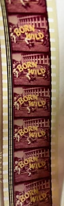 Born Wild 35mm movie trailer 1968 - Picture 1 of 2
