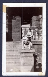 Lindo sombrero de paja Skimmer para perro ~ Fotografía instantánea vintage de 1920 - Imagen 1 de 2