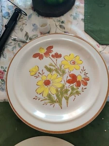 Plate Excel Stoneware Bonnie Fleur Dinner Plate(2) - Picture 1 of 4